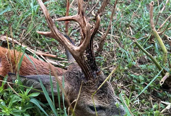 Whatsapp Image 2025 07 28 At 15.33.03 (1)