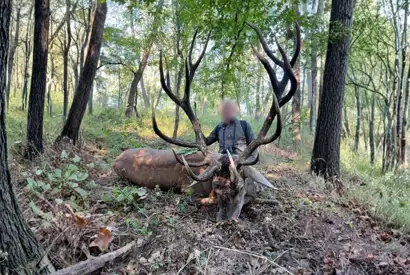 Skærmbillede 2023 12 04 154554