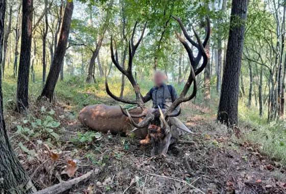 Skærmbillede 2023 12 04 154554