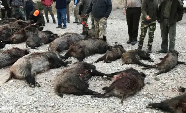 Skærmbillede 2024 09 25 134747