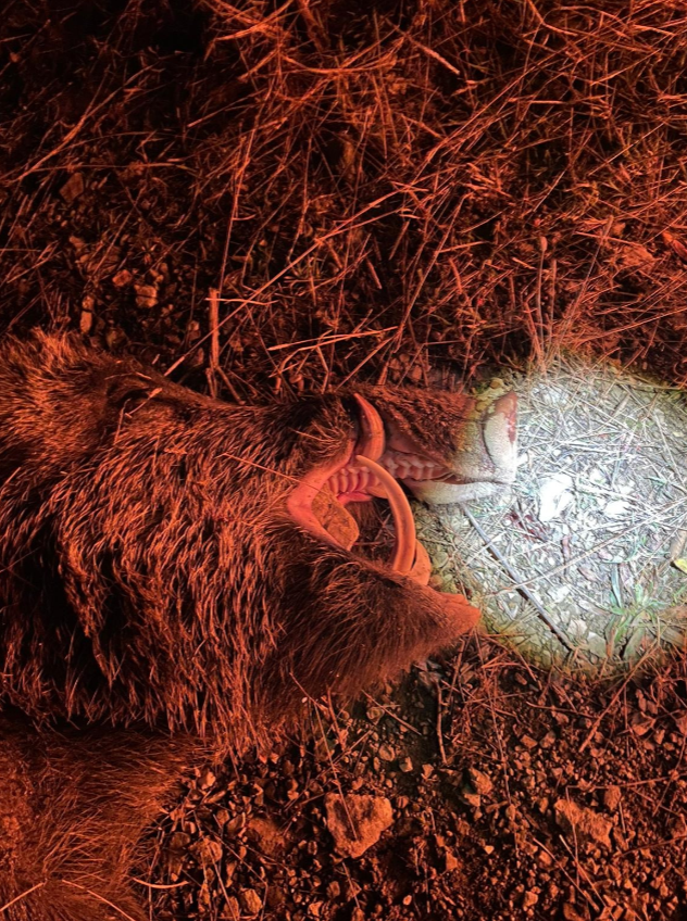 Skærmbillede 2024 09 25 135240