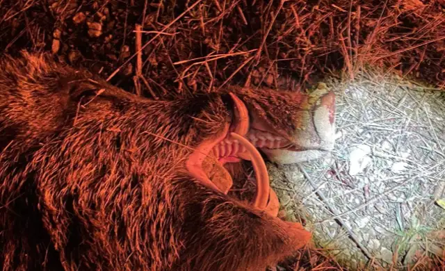 Skærmbillede 2024 09 25 135240