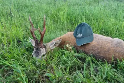 Whatsapp Image 2023 05 08 At 10.26.20