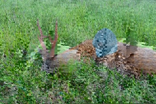 Whatsapp Image 2023 05 08 At 10.26.20