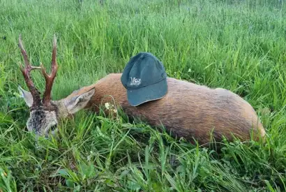 Whatsapp Image 2023 05 08 At 10.26.20