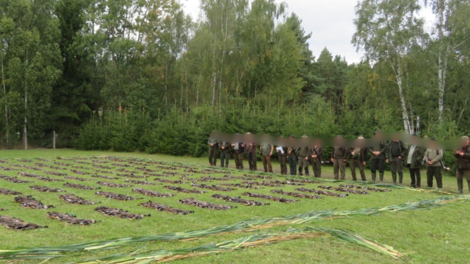 Skærmbillede 2025 02 28 132400