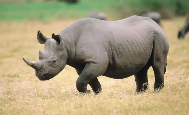 Hjemmeside Og PDF Format 169 (2) Min