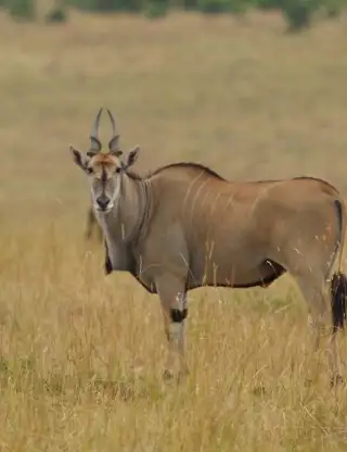 Kopi Af Hjemmeside Og PDF Format 169 (7) Min