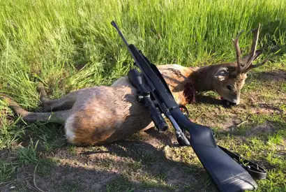 200499703 333908444841769 2556308284963052466 N