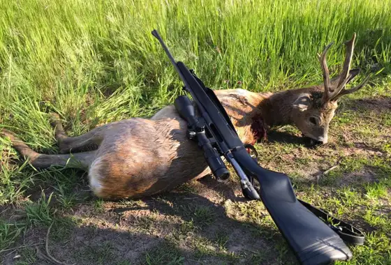 200499703 333908444841769 2556308284963052466 N