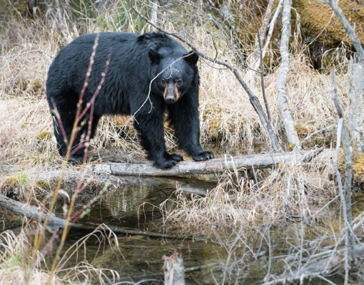 Skærmbillede 2024 07 03 125403