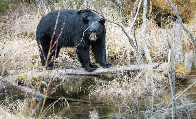 Skærmbillede 2024 07 03 125403