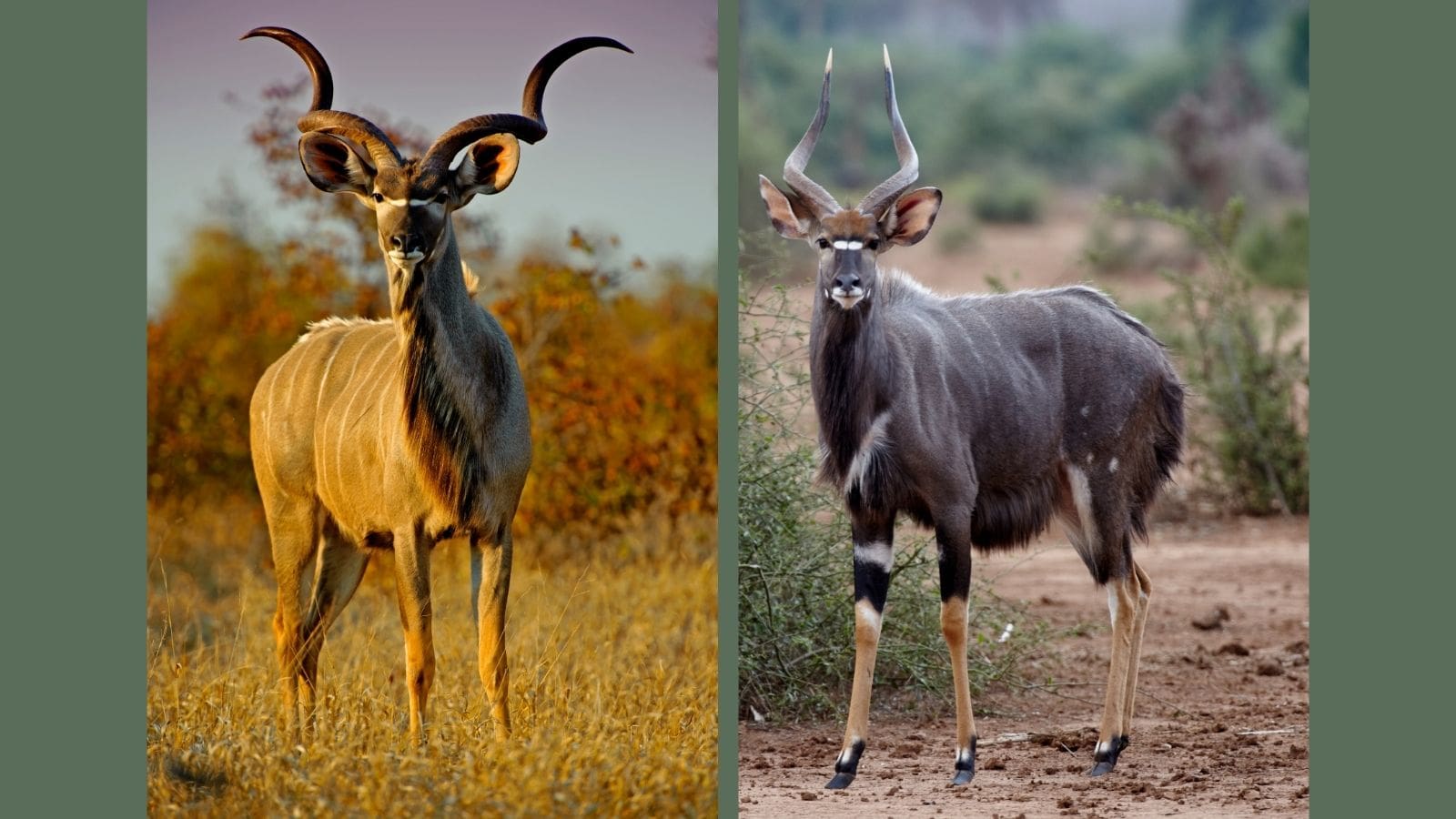 Hjemmeside Og PDF Format 169 (1) Min