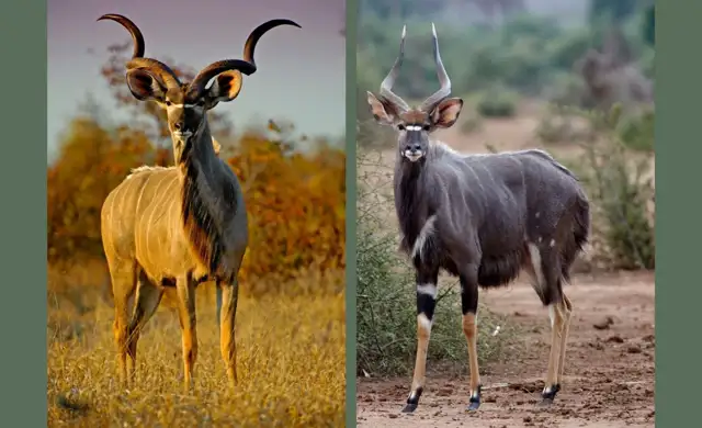 Hjemmeside Og PDF Format 169 (1) Min