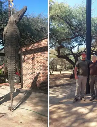 Kopi Af Hjemmeside Og PDF Format 169 (6) (1)