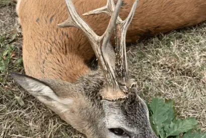 8CC7566D 67B0 4DB1 869B FB4DE42027E2