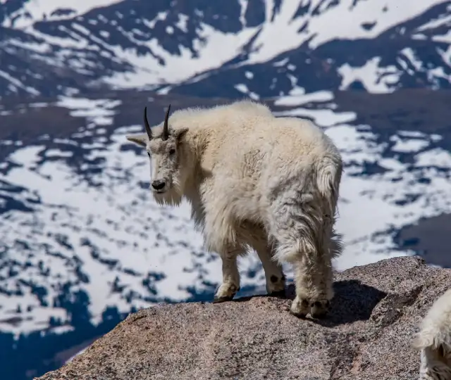 Skærmbillede 2024 07 03 122929