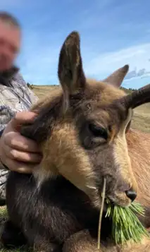 Skærmbillede 2025 01 06 105831