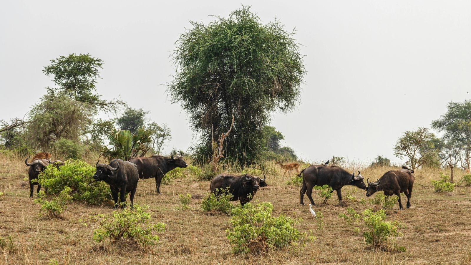 Kopi Af Hjemmeside Og PDF Format 169 (14) (1)