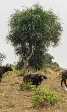 Kopi Af Hjemmeside Og PDF Format 169 (14) (1)