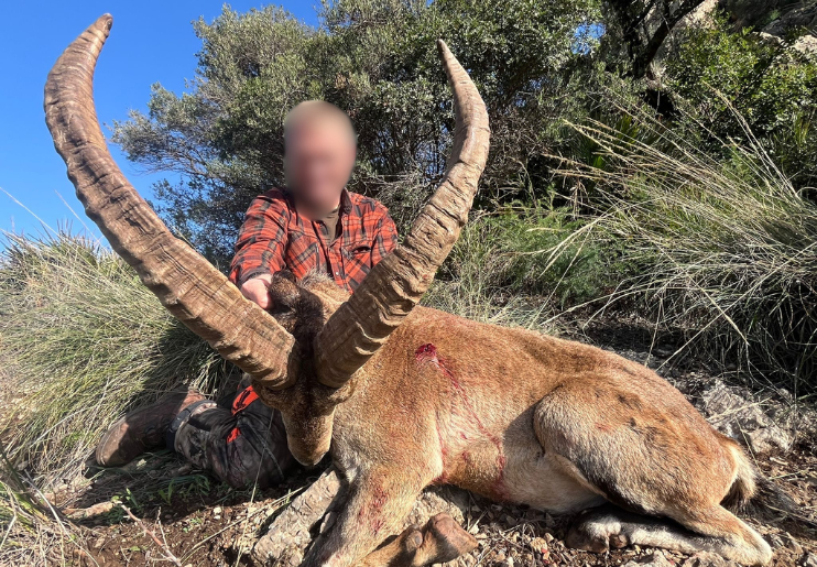 Design Uden Navn (31)