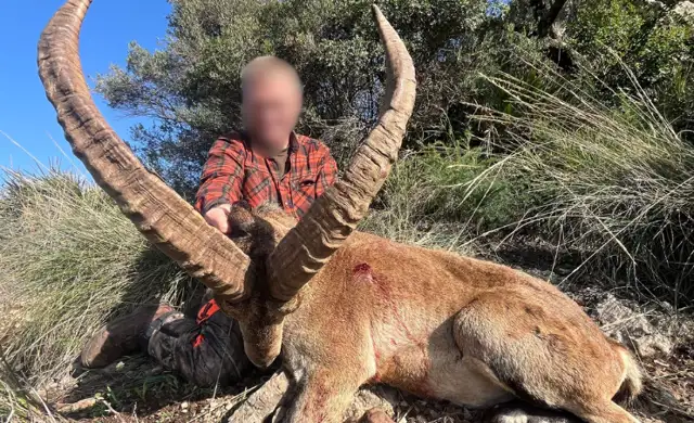 Design Uden Navn (31)