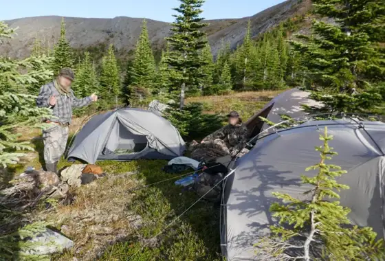 Skærmbillede 2023 10 31 141943