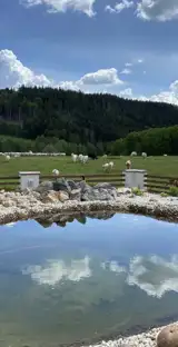 Skærmbillede 2025 02 26 090813