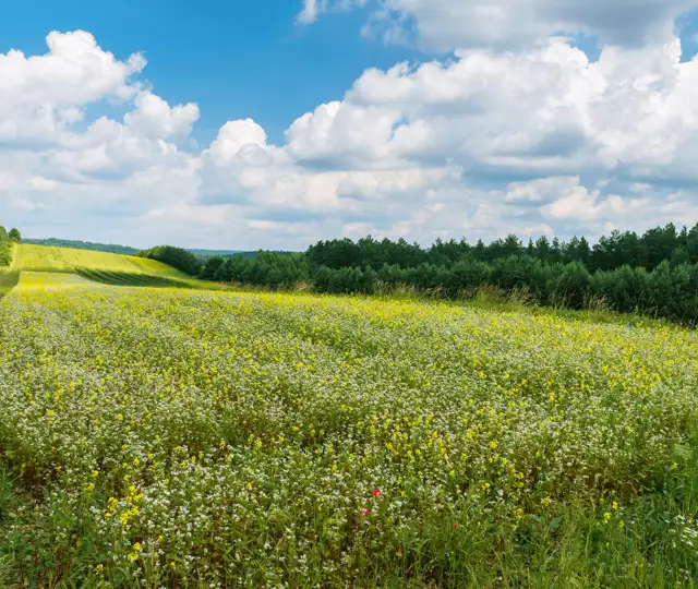 Billeder Hjemmeside (1) Min