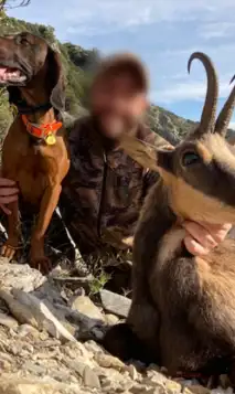 Skærmbillede 2025 01 06 105733