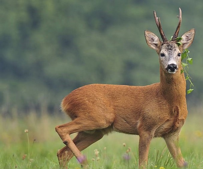 Istockphoto 485983927 1024X1024