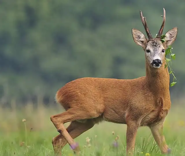 Istockphoto 485983927 1024X1024