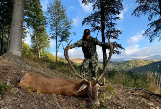 Skærmbillede 2023 12 04 160231