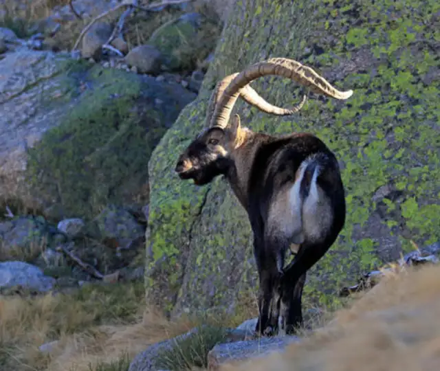 Skærmbillede 2023 07 25 111107