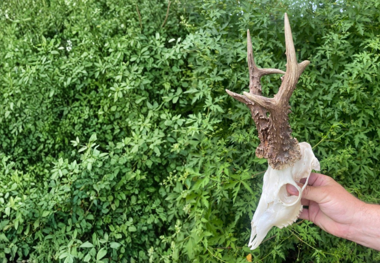 Design Uden Navn (34)