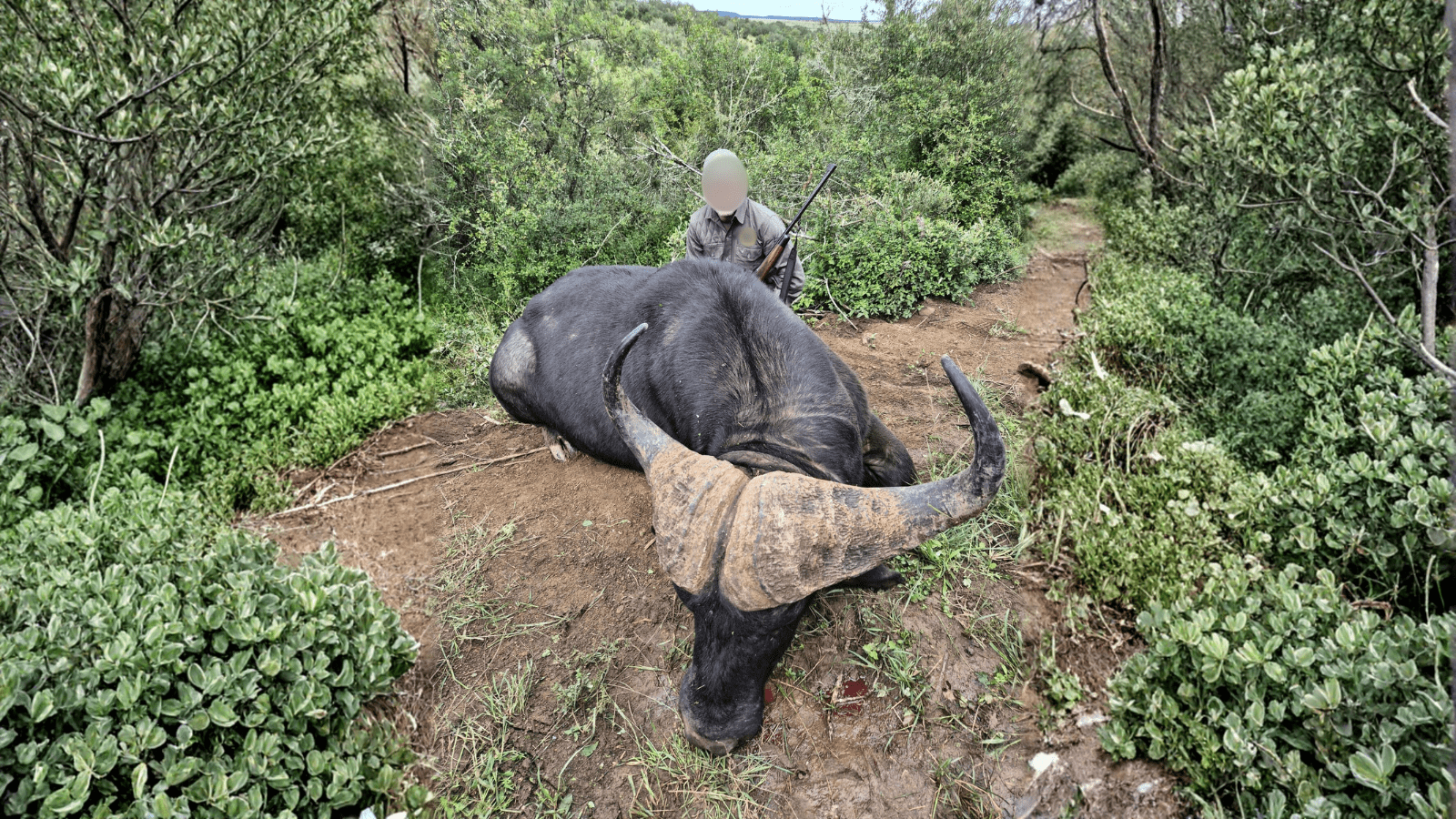 Design Uden Navn (6) Min