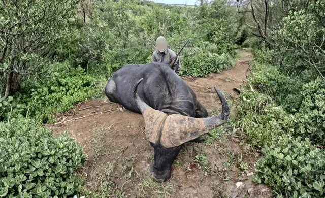 Design Uden Navn (6) Min