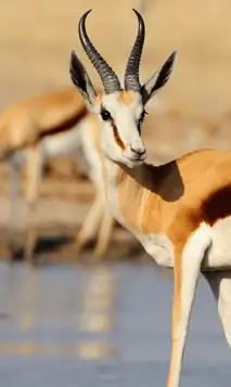 Design Uden Navn (8) Min