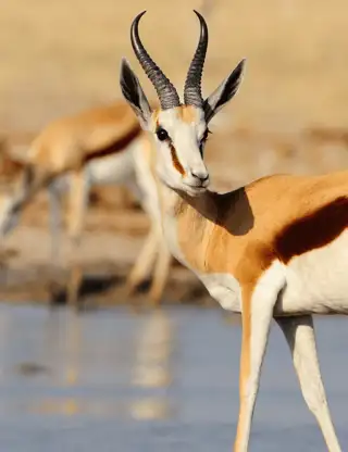 Design Uden Navn (8) Min