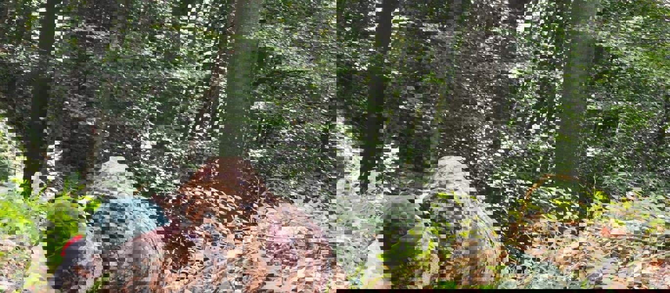 170748308 467170047964126 7874581905771899034 N
