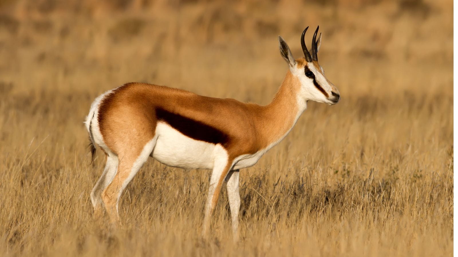 Kopi Af Hjemmeside Og PDF Format 169 (24) (1)