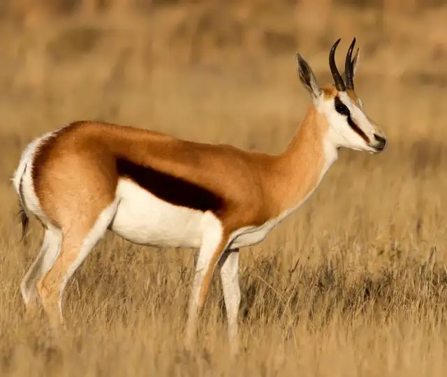 Kopi Af Hjemmeside Og PDF Format 169 (24) (1)