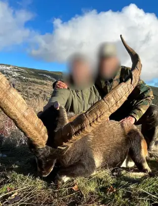 Design Uden Navn (33)