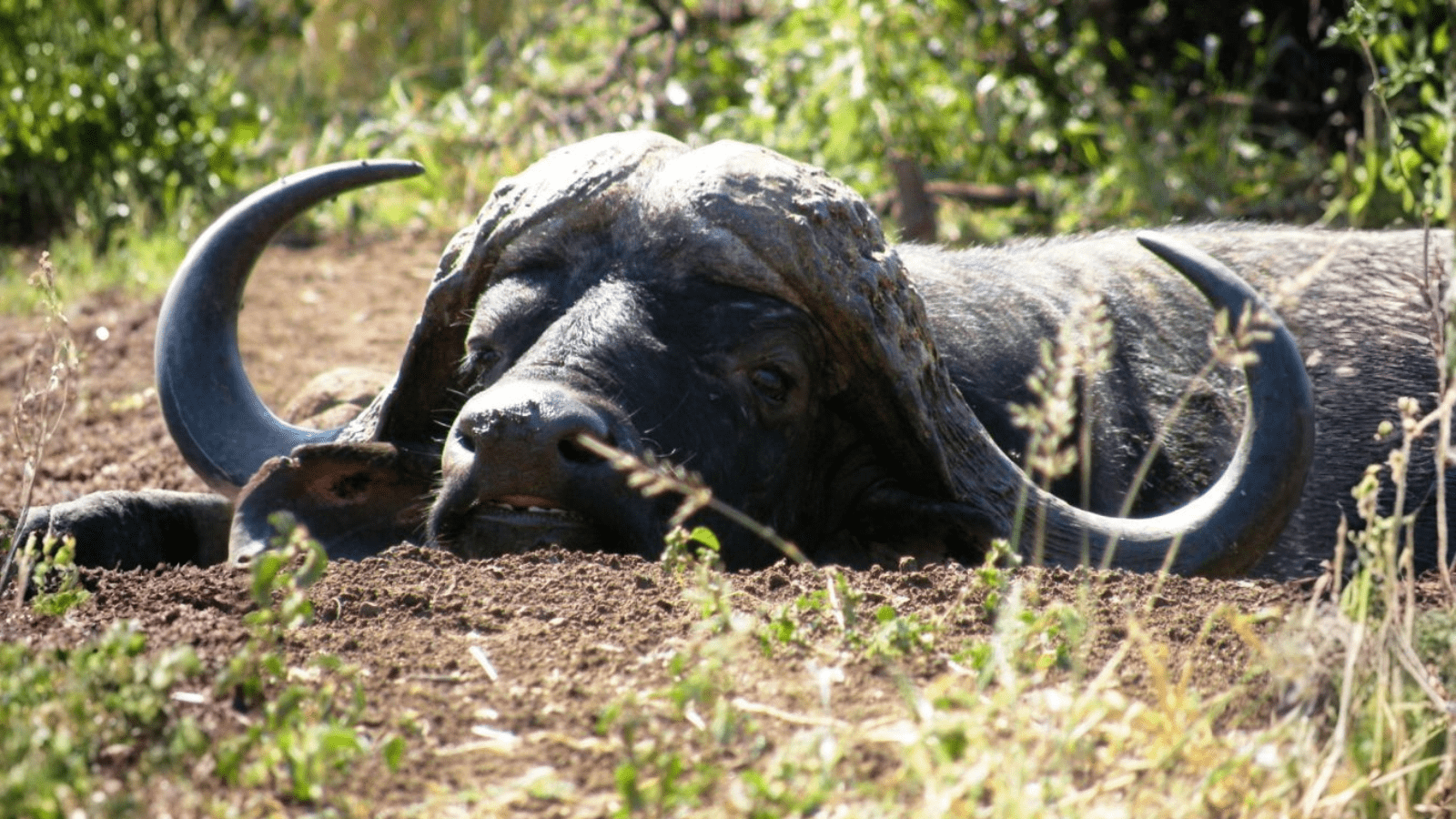 Hjemmeside Og PDF Format 169 (7) Min