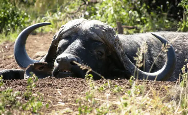 Hjemmeside Og PDF Format 169 (7) Min