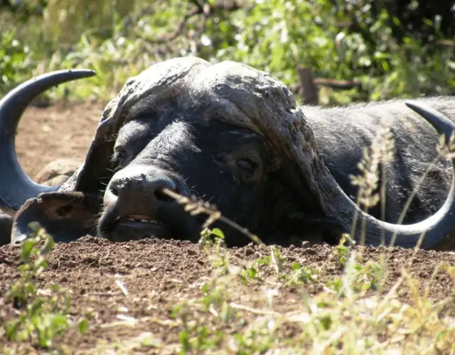 Hjemmeside Og PDF Format 169 (7) Min