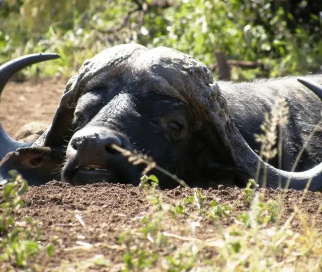 Hjemmeside Og PDF Format 169 (7) Min