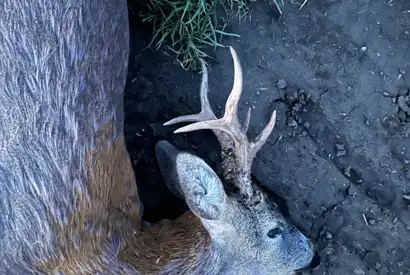 Whatsapp Image 2023 05 09 At 14.50.11