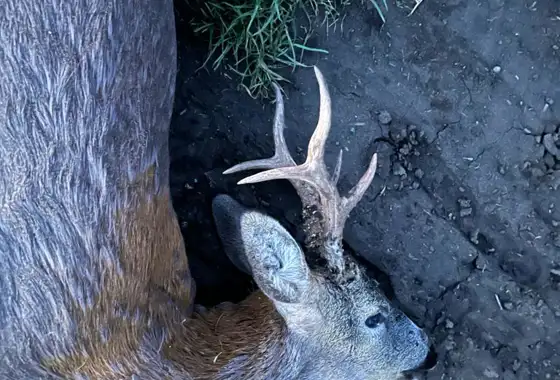 Whatsapp Image 2023 05 09 At 14.50.11