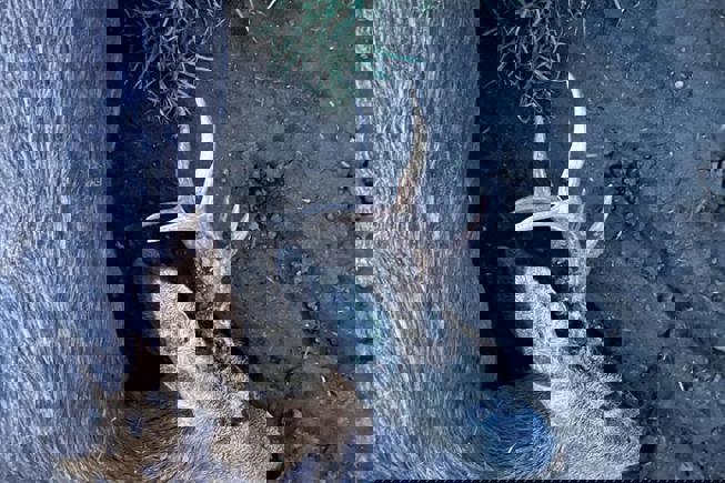 Whatsapp Image 2023 05 09 At 14.50.11